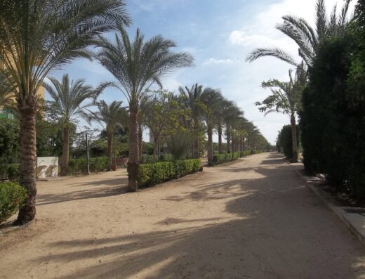 بيت الواحة
